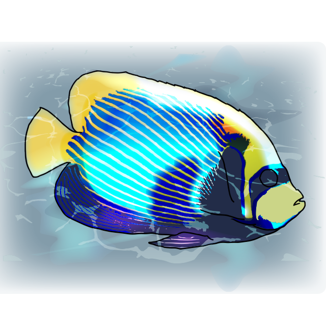 illustrations